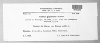 Image Associated With the Occurence